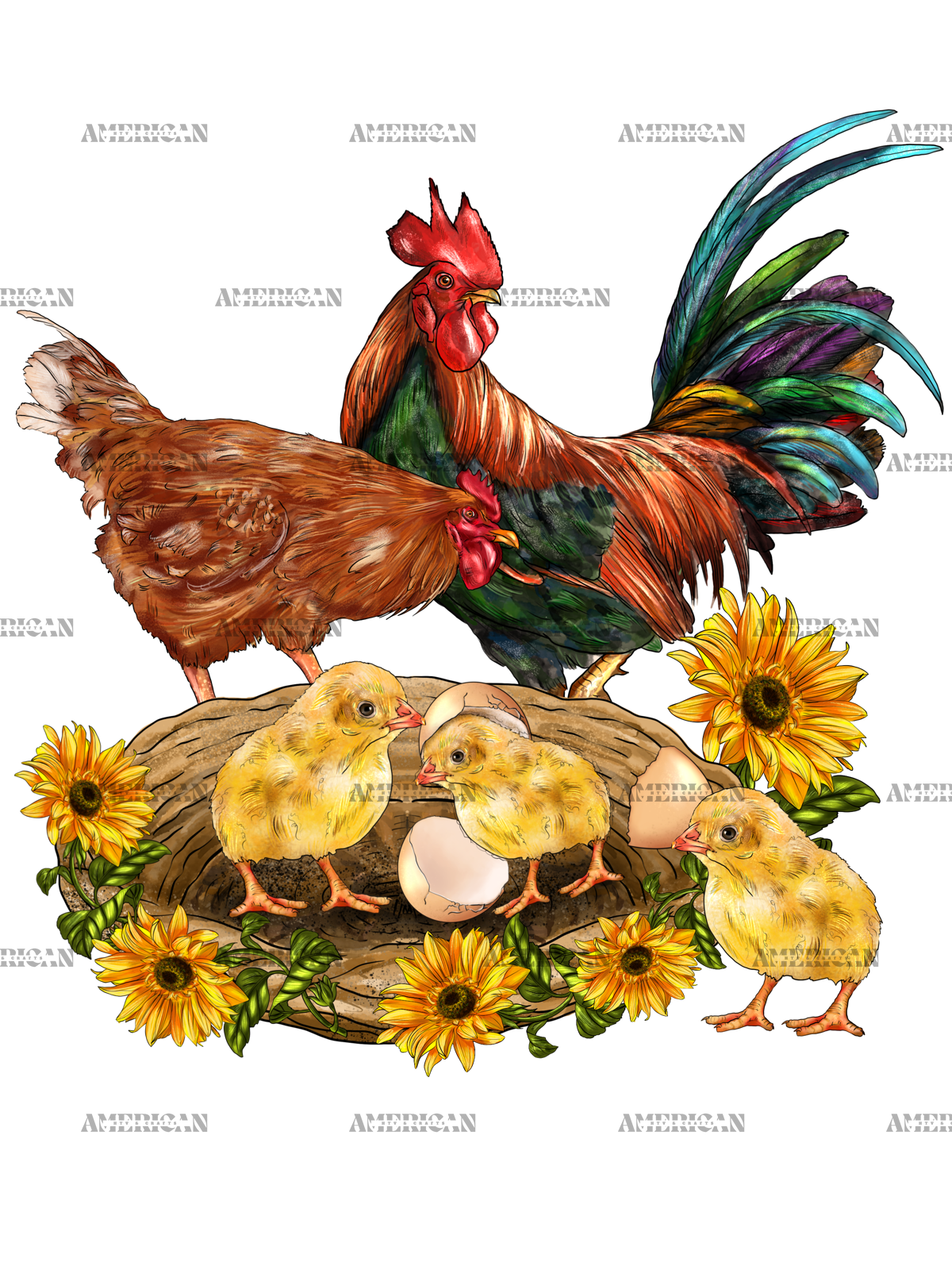Western_Chicken_Family