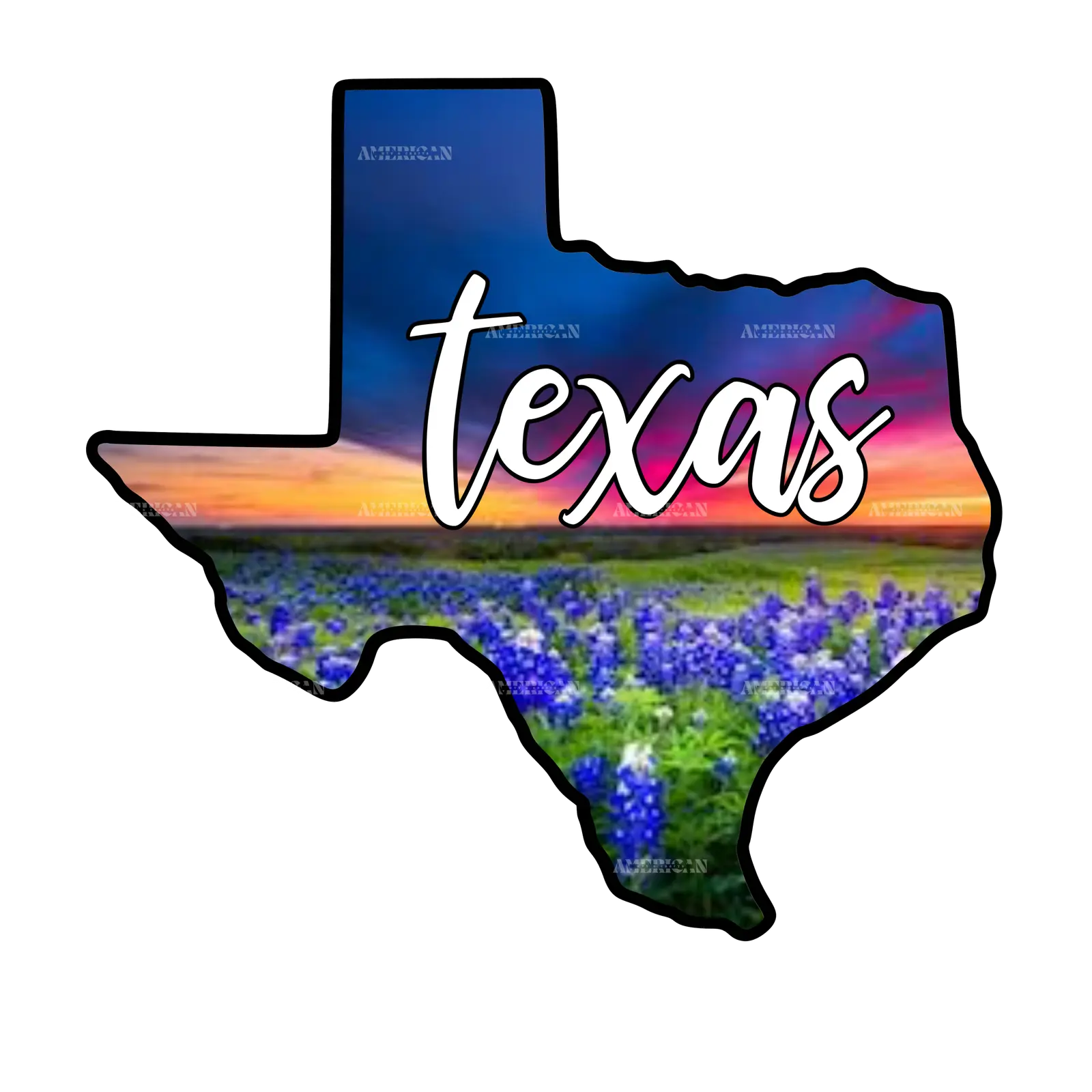 Texas_sunset_blue_bonnets