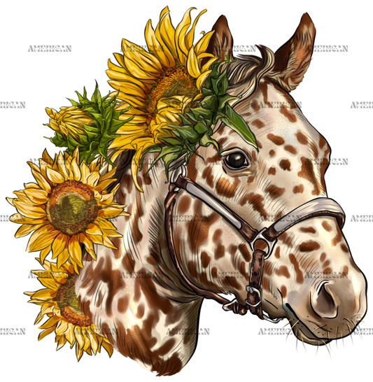 Horse_With_Sunflowers-1