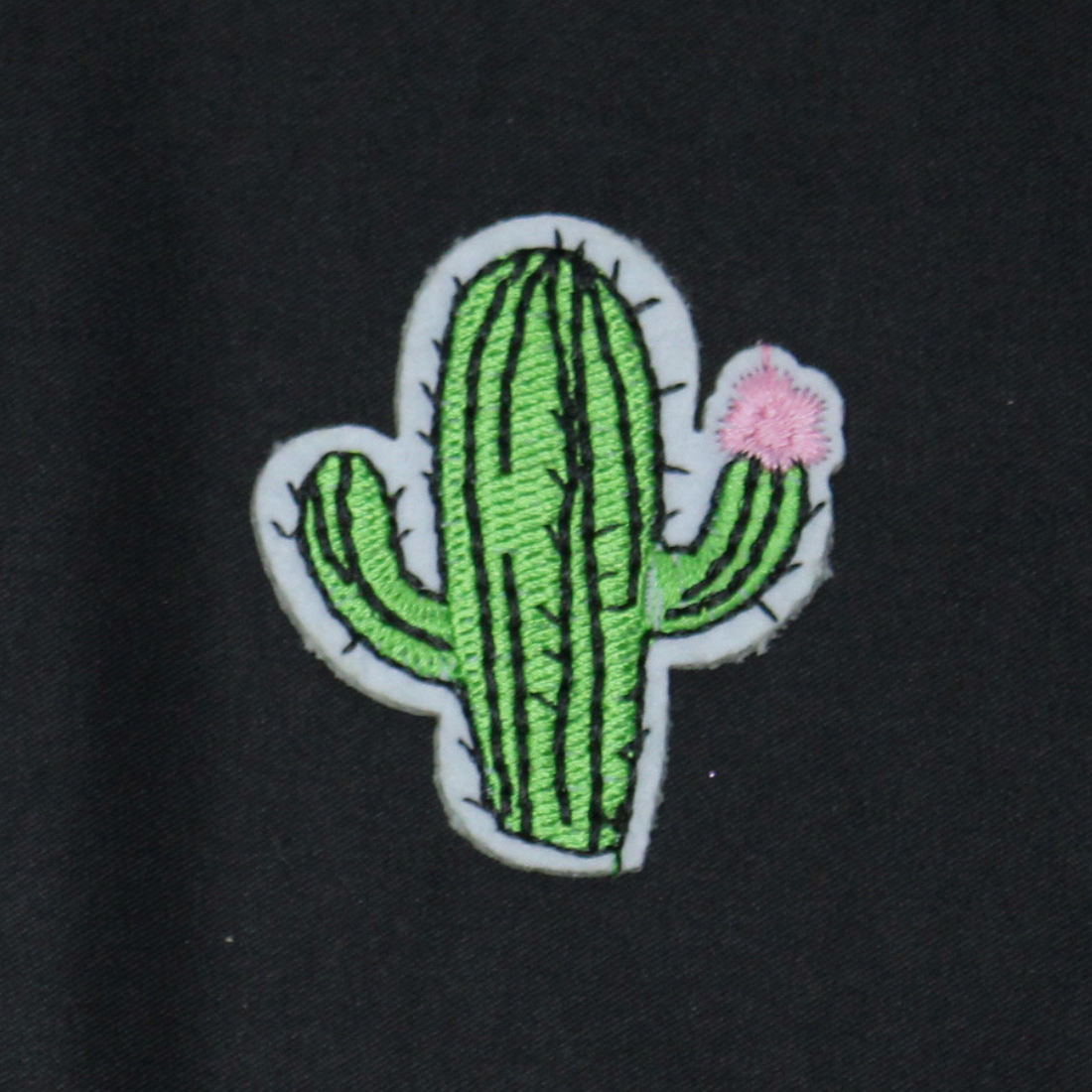 cactus.png
